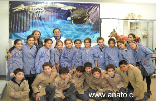 SantoDomingo2011-011